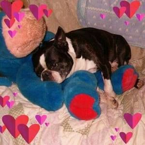 Meet your Posher, Ginny